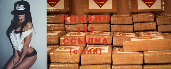тгк Инсар