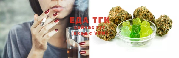 тгк Инсар