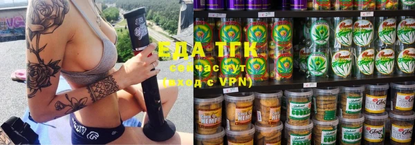 тгк Инсар