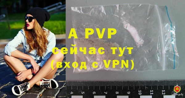 тгк Инсар
