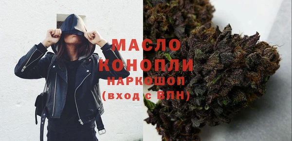 тгк Инсар