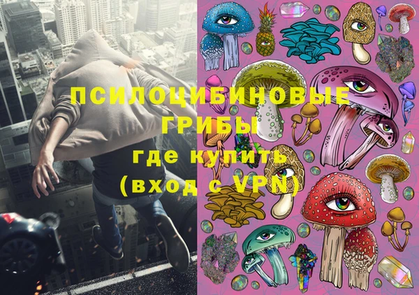 герыч Иннополис