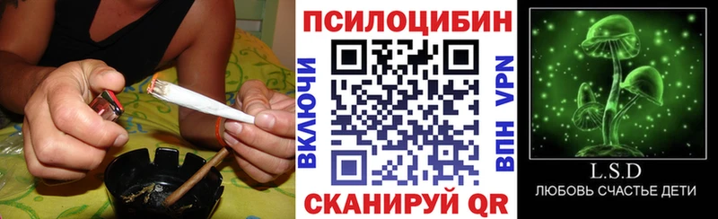 Галлюциногенные грибы Cubensis  Димитровград 